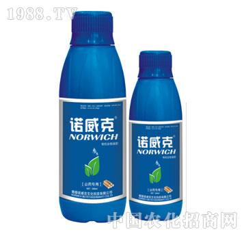 �ЙC����Һ�ʣ�ɽˎ����