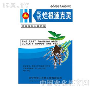 ��ɽ����-���砀���ٿ�