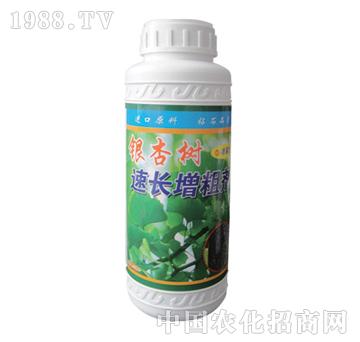 ��ɽ����-�y�Ә�(sh��)���L(zh��ng)��