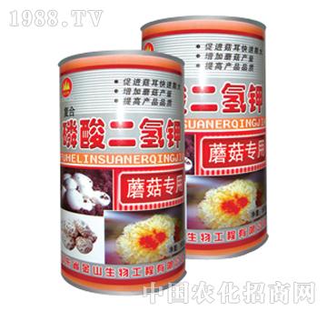 ��ɽ����-��������