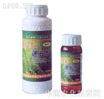 ��ɽ����-���l���L(zh��ng)����