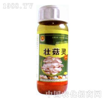 ��ɽ����-�ѹ��`100