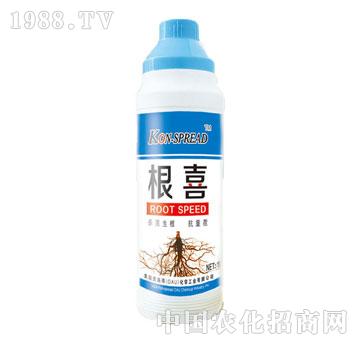 ��ʩ��-��ϲB