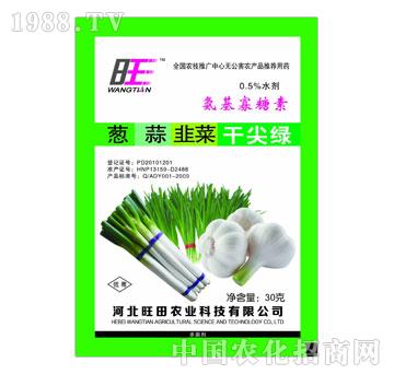 �����r�I(y��)-�[��²˸ɼ�G