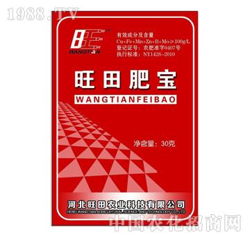 �����r�I(y��)-����ʌ�