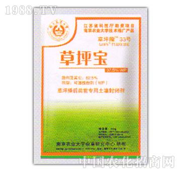 草坪寶-百慕大馬尼拉草坪茅草白茅等惡性雜草全除