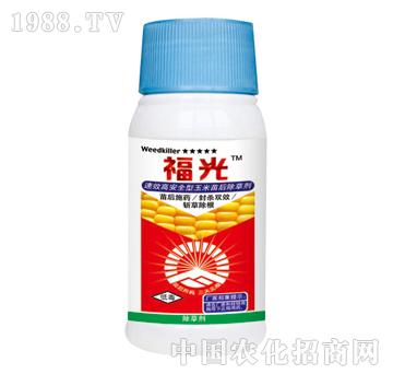 ����-̩�(y��ng)