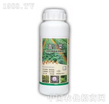 蓋三菜-泰陽(yáng)