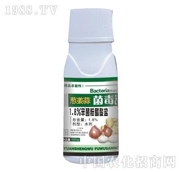 1.8%�����������}-