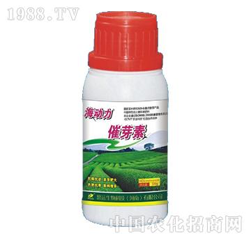 ��ѿ��-������-˼�h��