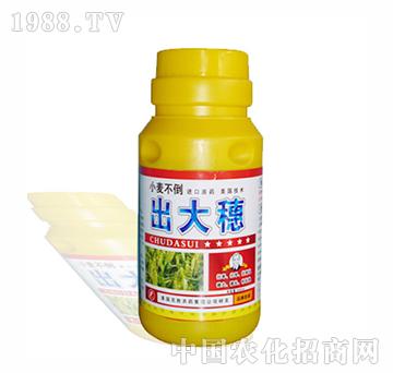 ������-�����r��