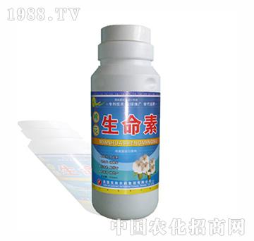 �޻�������-�����r(n��ng)��