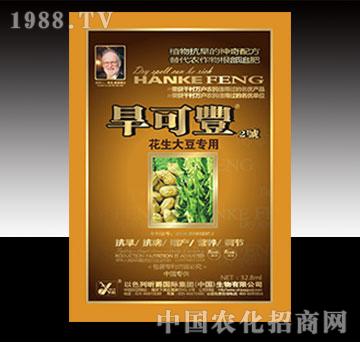 �����S�������󶹣�-�