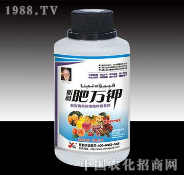 ���f(w��n)⛹���ƿ�b