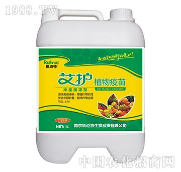 ���oֲ������_ʩ�ι���