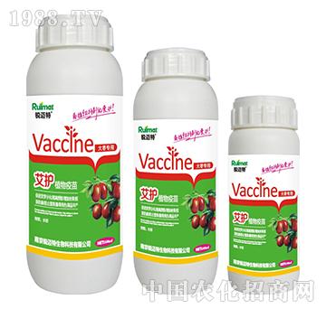 ���oֲ������󗗌���-