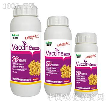 ���oֲ������󽪌���-