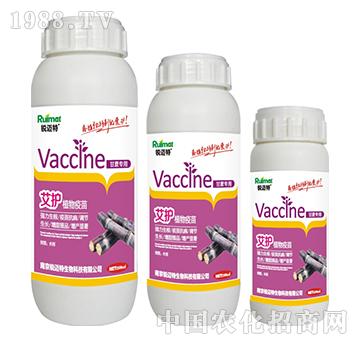 ���oֲ��������ጣ��-