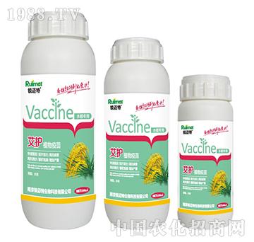 ���oֲ������ˮ������-