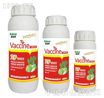 ���oֲ�������~�ˌ���-