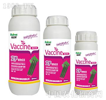 ���oֲ�������S�ό���-