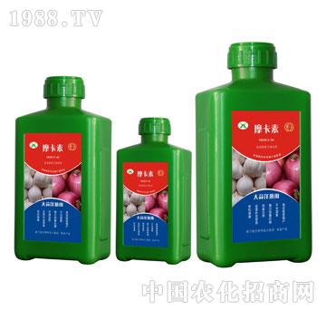 大蒜洋蔥專(zhuān)用氨基酸螯合液肽肥-摩卡素-強(qiáng)芯國(guó)際