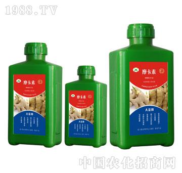 大姜專用氨基酸螯合液肽肥-摩卡素-強(qiáng)芯國際