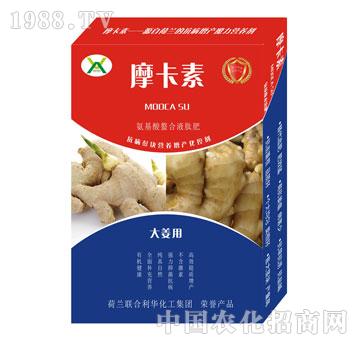 大姜專用氨基酸螯合液肽肥-摩卡素-強(qiáng)芯國際