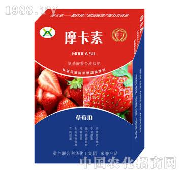 草莓專用氨基酸螯合液肽肥-摩卡素-強芯國際