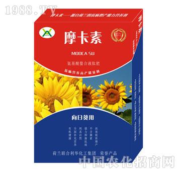 向日葵專(zhuān)用氨基酸螯合液肽肥-摩卡素-強(qiáng)芯國(guó)際