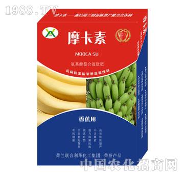 香蕉專用氨基酸螯合液肽肥-摩卡素-強(qiáng)芯國際