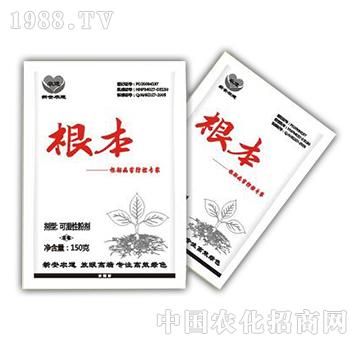 根本-新安農(nóng)道