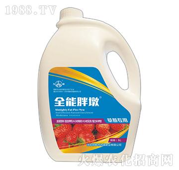 ȫ���ֶ�-��ݮ����-��