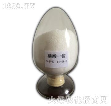 磷酸一銨-千頂化工