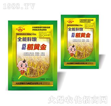 �������S��-ȫ���ֶ�-