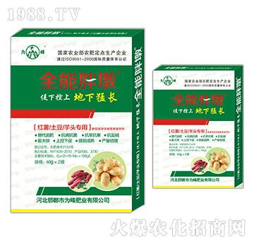 �t�������������^����-