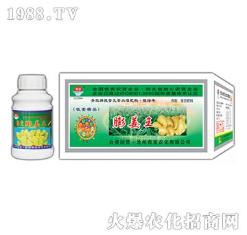 200g����-�挚�r(n��ng)��