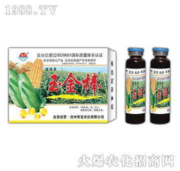 22g����-�挚�r��