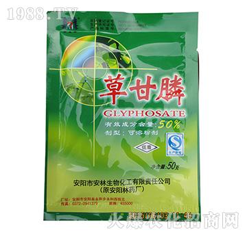 50%�ݸ��-����