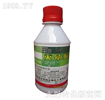 25%������-����