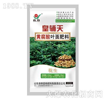 ���o���S�����~����ϣ�