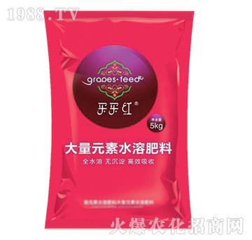 ��߅���(f��)�ϴ�-�E��