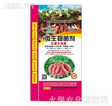 紅薯專用微生物菌劑-中農(nóng)