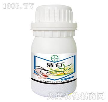 ���-�o�r(n��ng)