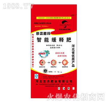 ���ܾ�ጓ����28-8