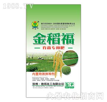 ���猣�÷�-�𵾸�-��