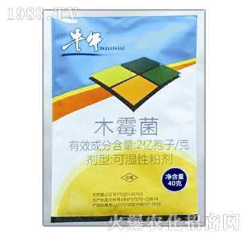 ľù��-ţţ-�A�̻���