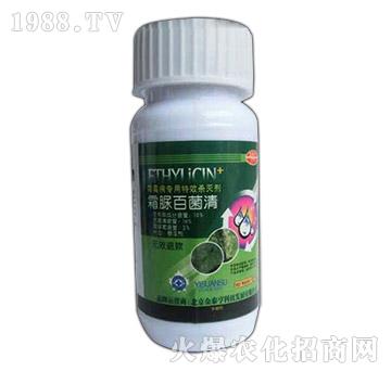 18%˪��پ��壨˪ù����(zhu��n)�ã�-��̩��