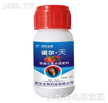 諾爾·天-諾爾生物