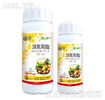 25��ÿ��-����-����